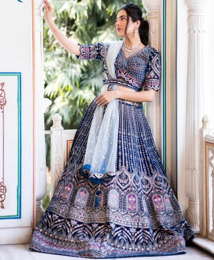 Blue velvet half sleeves net
